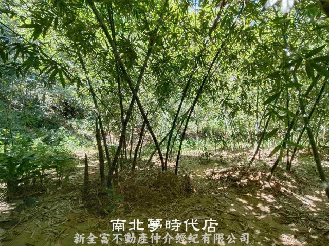 台南農地-11