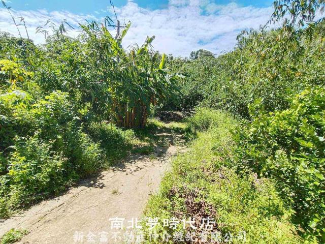 台南農地-13