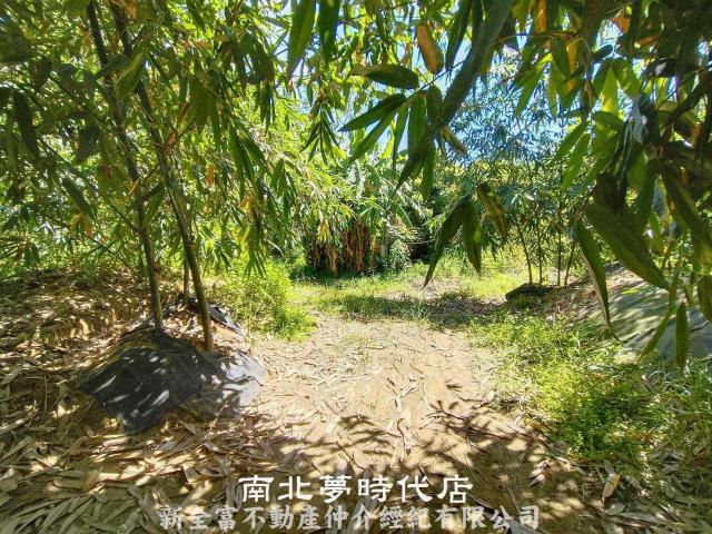 台南農地-1