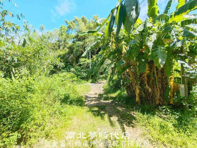台南農地-2