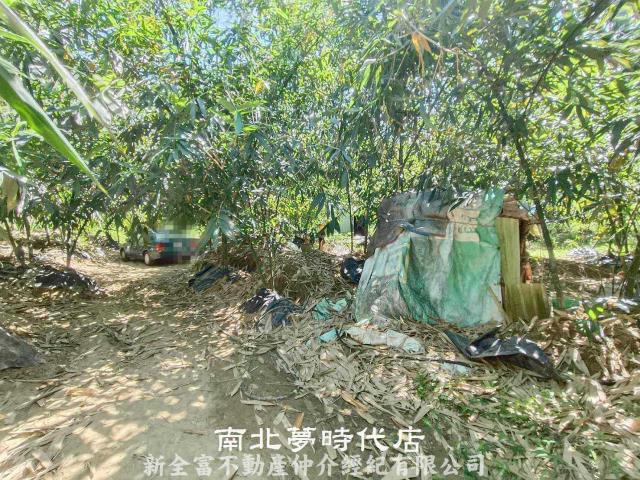 台南農地-3