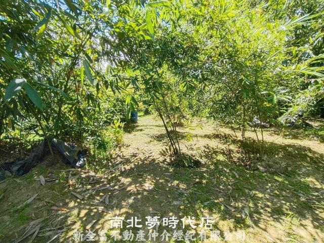 台南農地-5