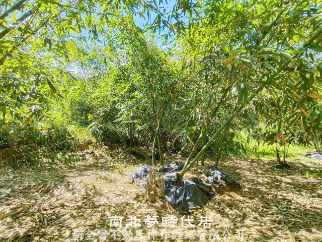 台南農地-6