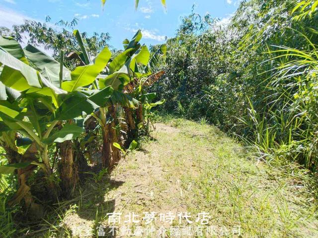台南農地-7