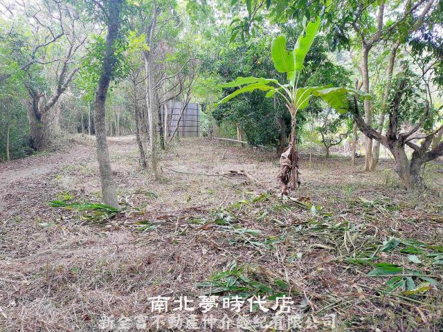 左鎮農地-0
