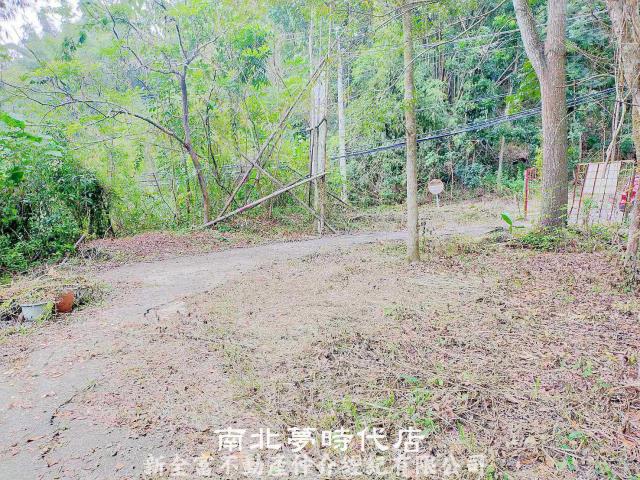 左鎮農地-3
