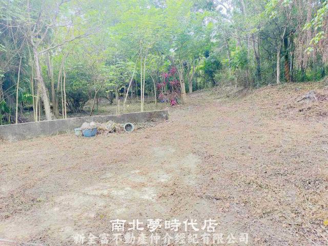左鎮農地-7