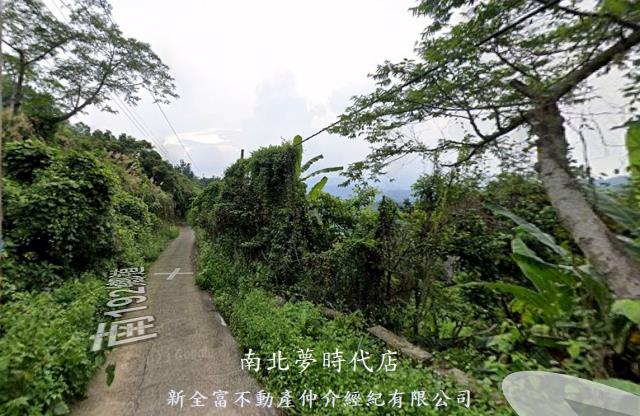 台南楠西山坡地-3