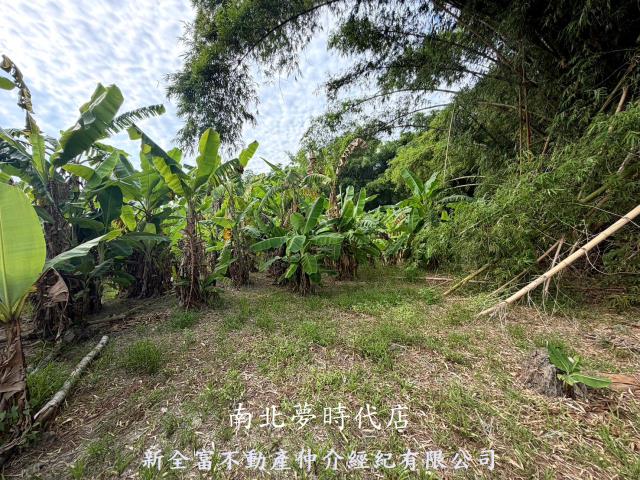 台南左鎮農地-11