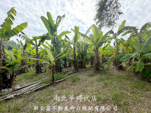 台南左鎮農地-2