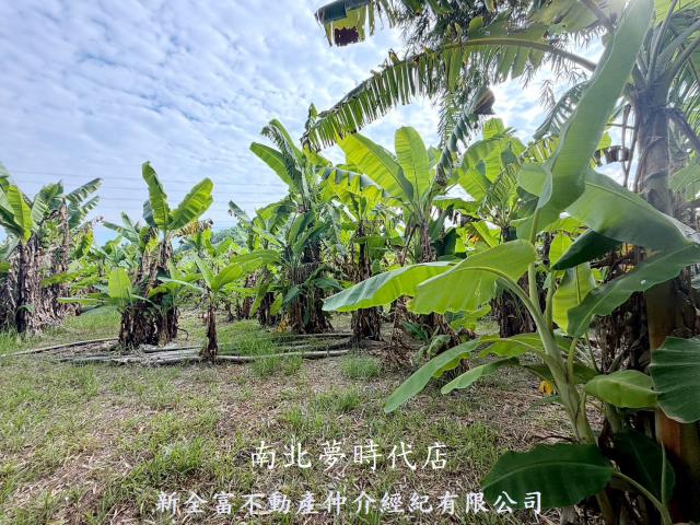 台南左鎮農地-3