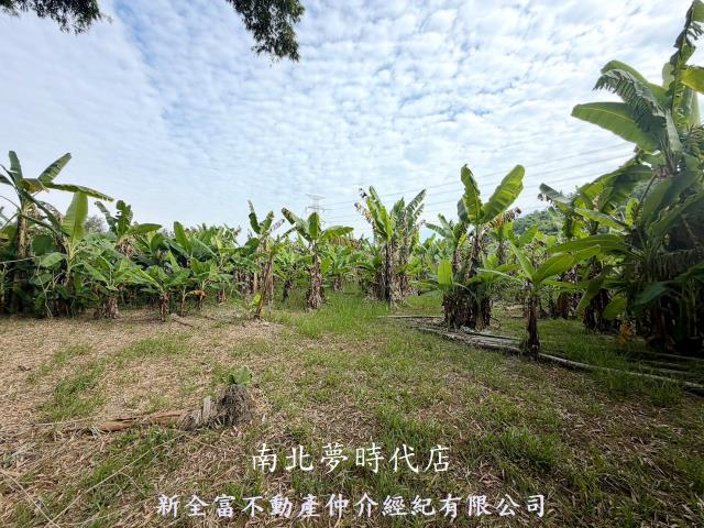 台南左鎮農地-4