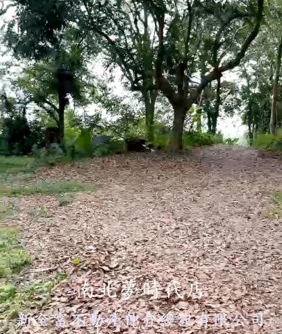 高雄杉林農地-0