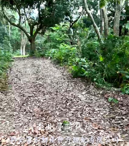 高雄杉林農地-2