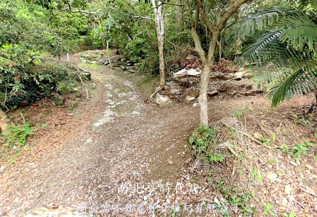 高雄杉林農地-5