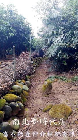 台南楠西農地-0