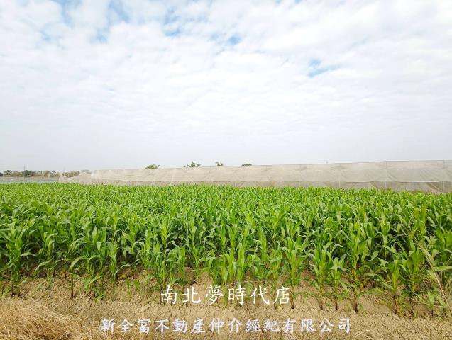 台南柳營農地-0