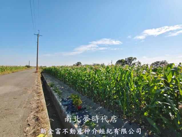 台南鹽水農地-6