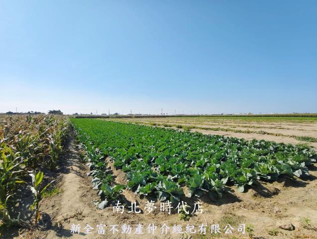 台南將軍農地-2