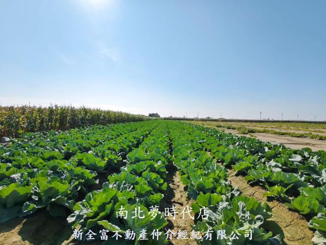 台南將軍農地-3