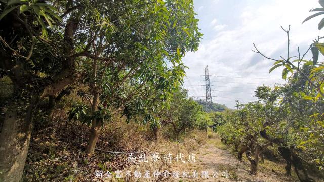 台南玉井農地-2