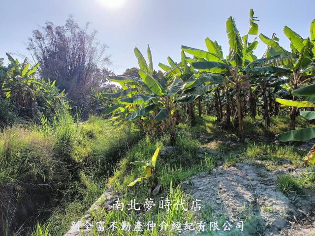 台南農地-7