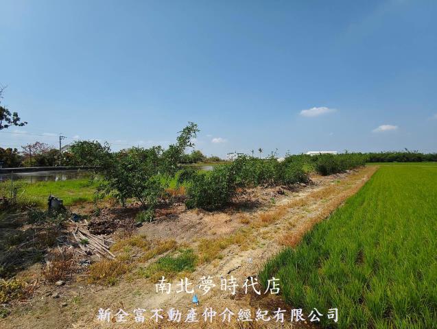 台南白河農地-6
