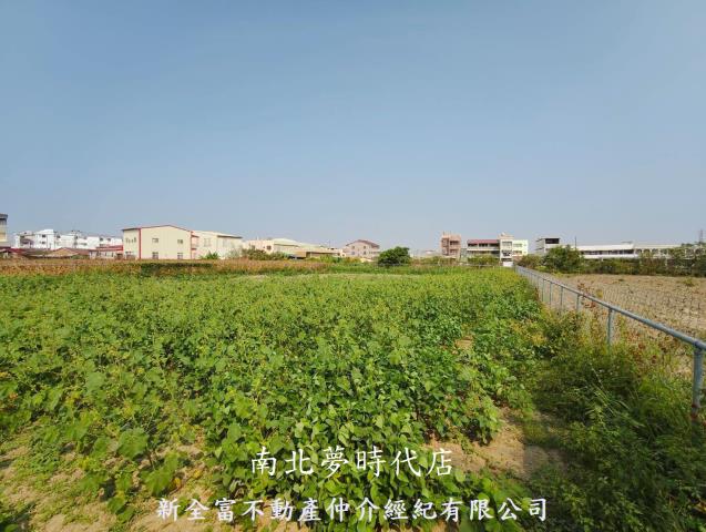 新營農地-2