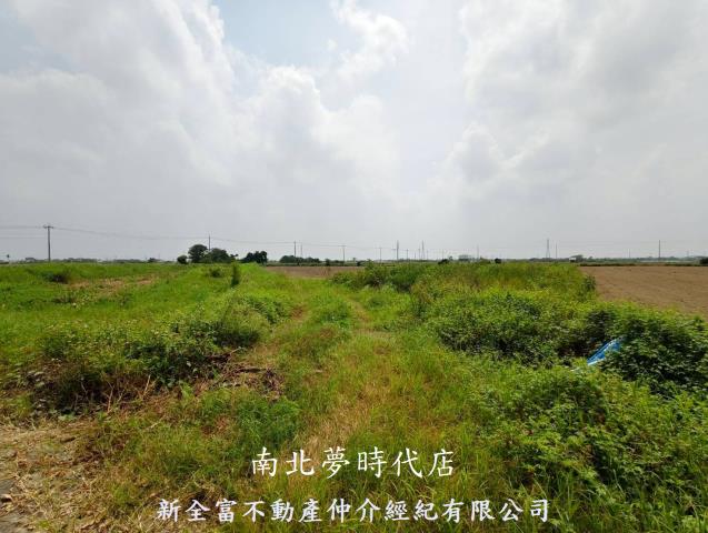 鹽水農地-0