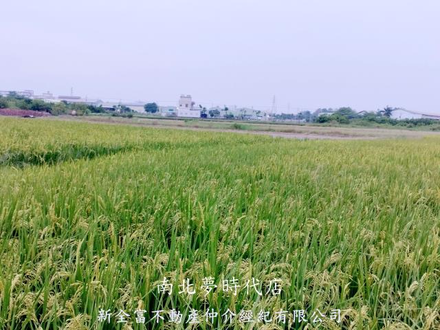 台南仁德農地-1