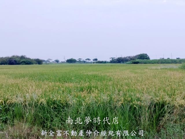 台南仁德農地-2