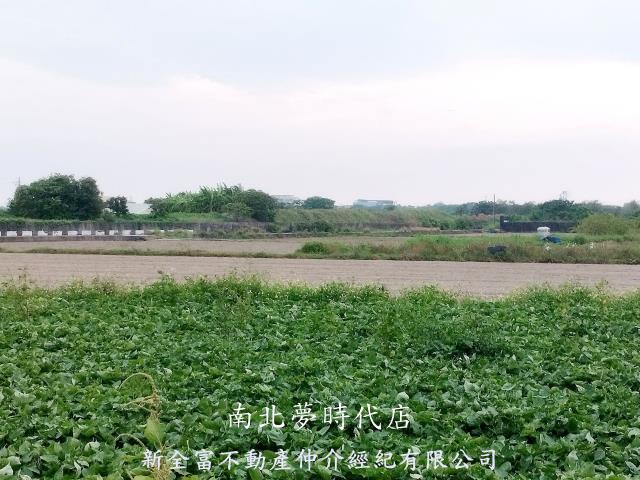 台南仁德農地-5