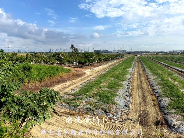 台南新市農地-8