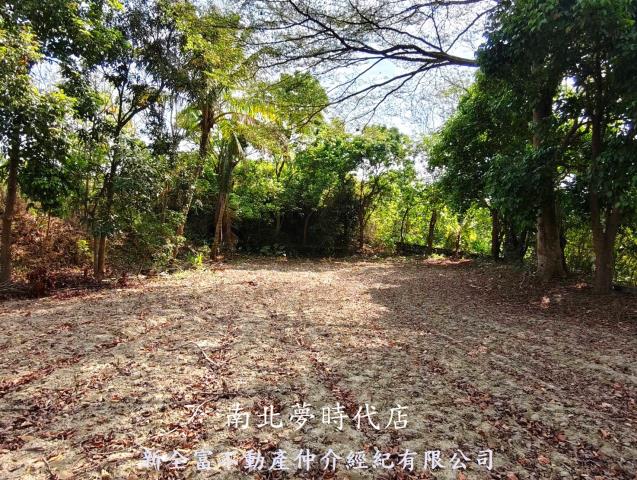 左鎮農地-4
