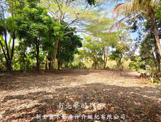 左鎮農地-5