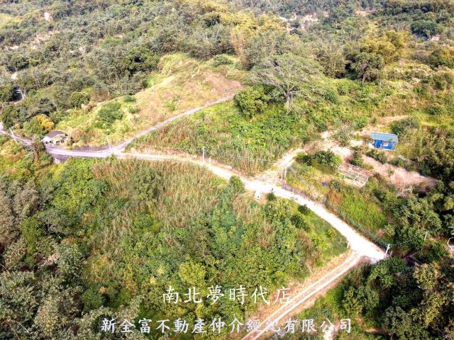 台南新化林地-0