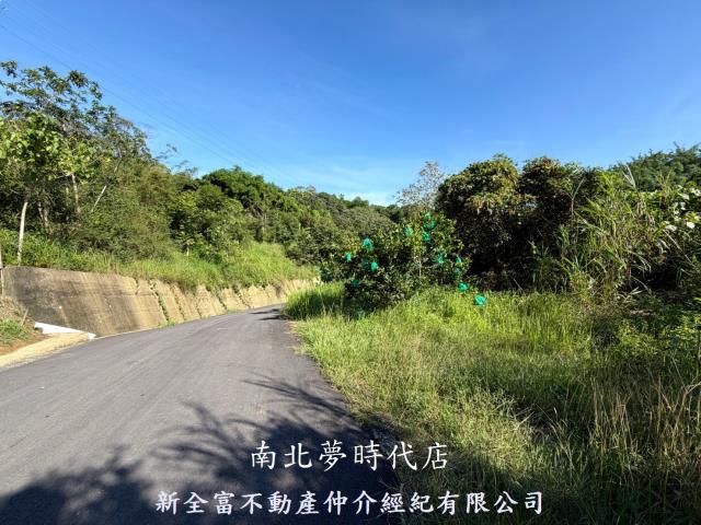 台南新化林地-6