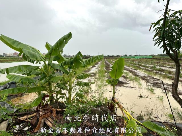 台南鹽水農地-11