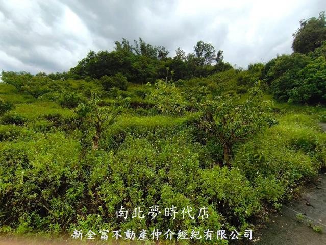 台南楠西農地-13