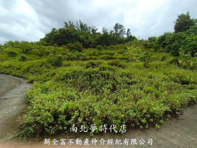 台南楠西農地-14