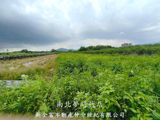 玉井農地-9