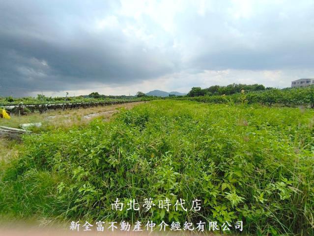 玉井農地-10