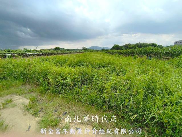 玉井農地-11