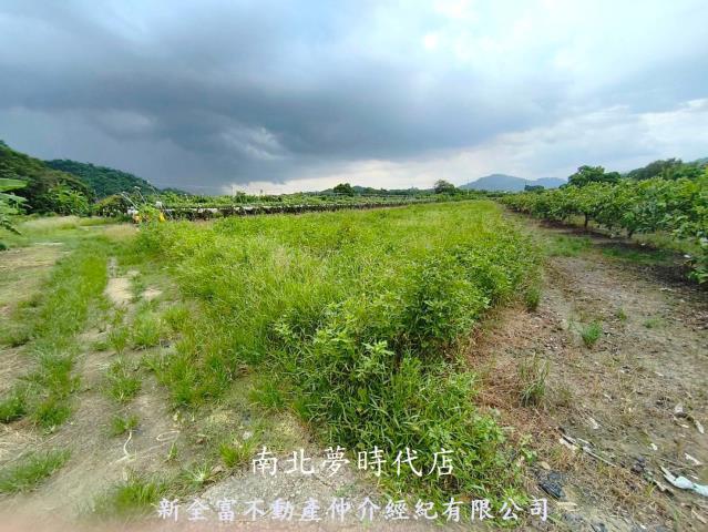 玉井農地-12