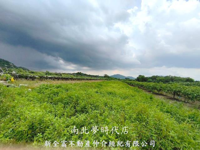 玉井農地-0