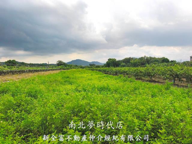 玉井農地-1