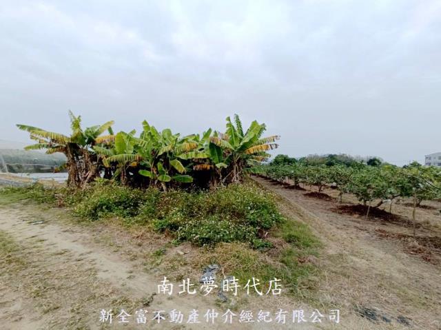 玉井農地-2