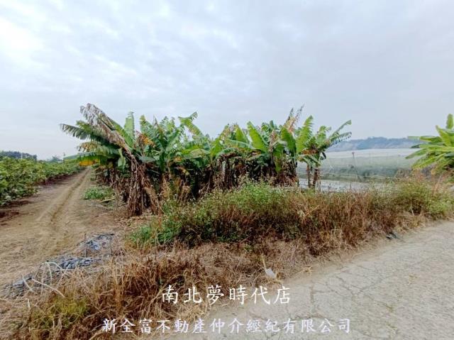 玉井農地-3