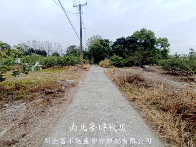 玉井農地-4