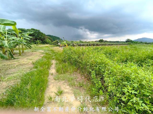 玉井農地-6